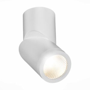 ST650.542.10 Светильник потолочный Белый LED 1*10W 4000K 800Lm Ra>90 38° IP44 D60xH175 165-265V ST650