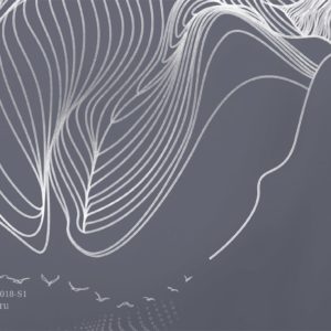 VR.0018-S1, Горные ноты