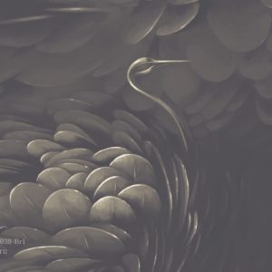 VR.0038-Br1, Лебеди