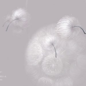 VR.0051-A, Одуванчики