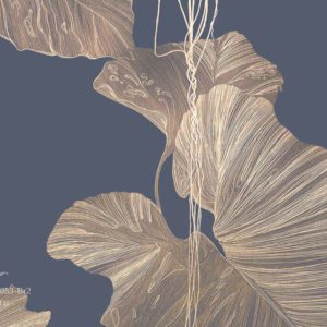 VR.0053-Br2, Лианы