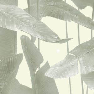 VR.0058-A, Ночная роса