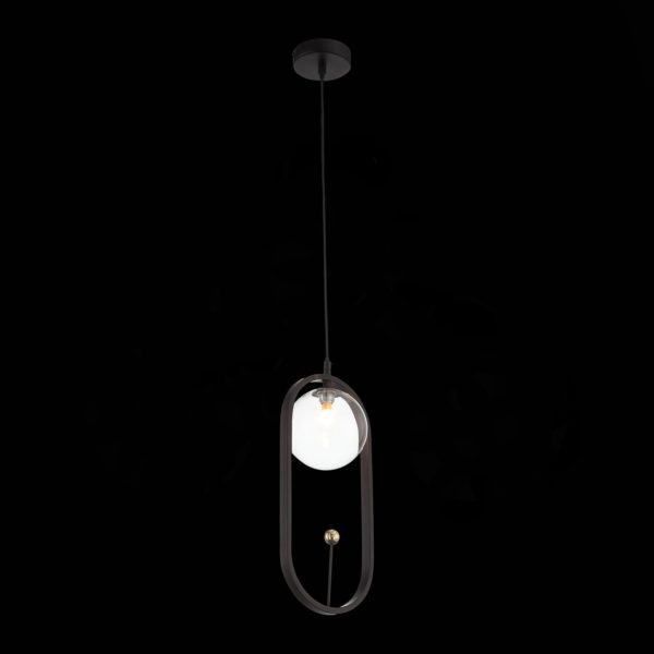 SL1201.403.01 Подвес ST-Luce Черный/Прозрачный G9 1*5W CIRCONO — изображение 4