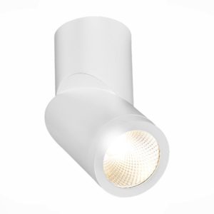 ST650.532.10 Светильник потолочный Белый LED 1*10W 3000K 800Lm Ra>90 38° IP44 D60xH175 165-265V ST650