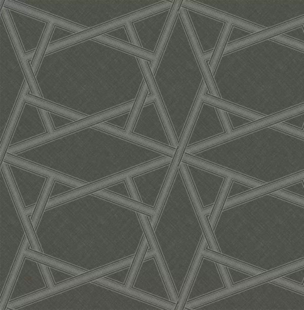 Немецкие обои Architector, коллекция Black & White, артикул ZN50403
