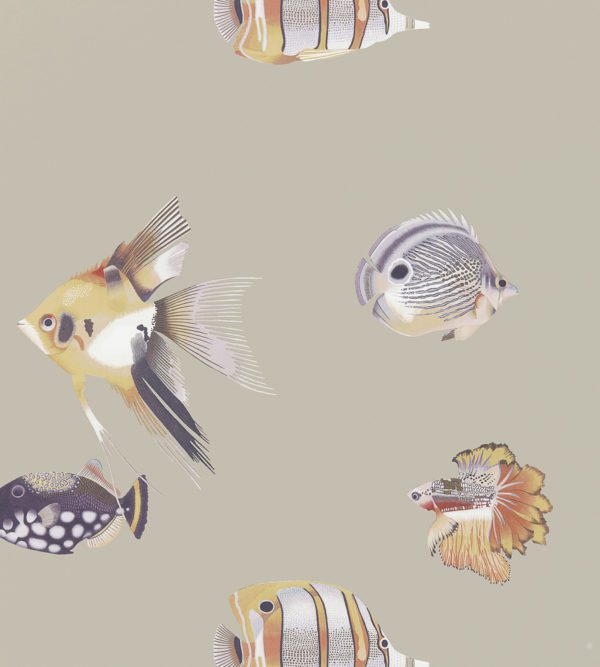 Английские обои Harlequin, коллекция Anthozoa, артикул 111647