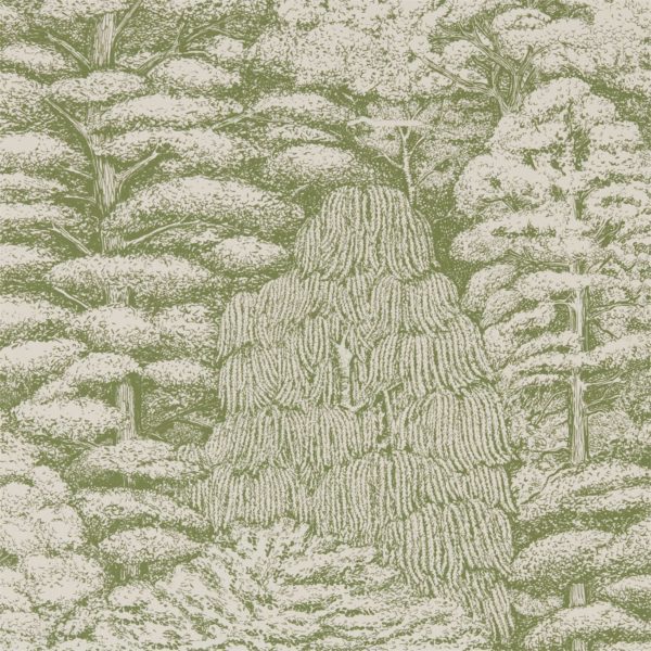 Английские обои Sanderson, коллекция Woodland Walk, артикул 215720