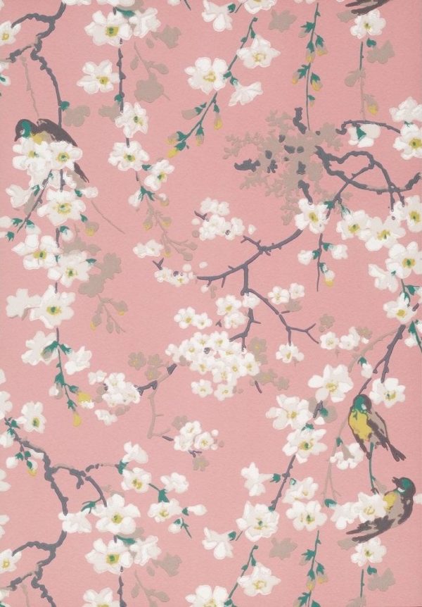 Английские обои Little Greene, коллекция National Trust Papers II, артикул 0260MAORIEN