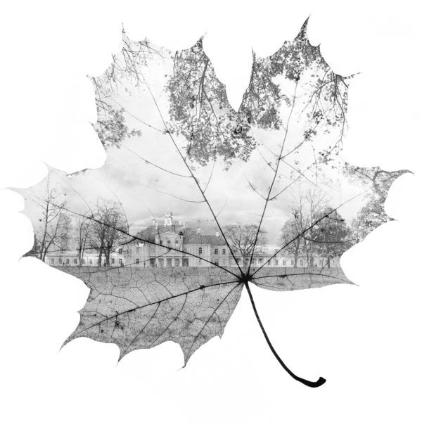 Российские обои Wall Street, коллекция Grayscale, артикул 16936