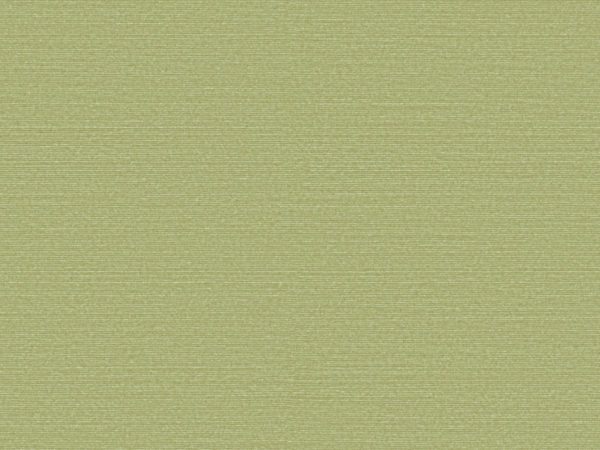 Бельгийские обои Omexco, коллекция Birds of Paradise, артикул BOP317