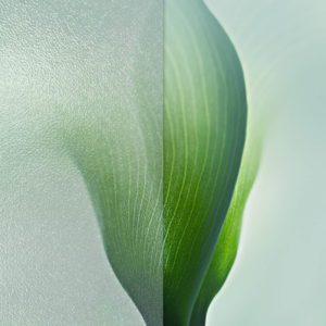 Российские обои Wall Street, коллекция Frame 2019, артикул 21334