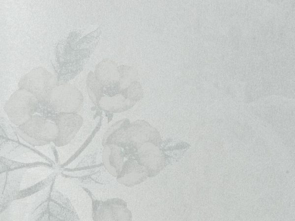 Китайские обои Baoqili, коллекция BM-1, артикул BM-1-91338-15