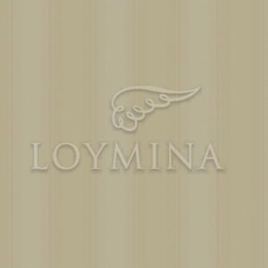 Loymina арт. Jet4 012/1