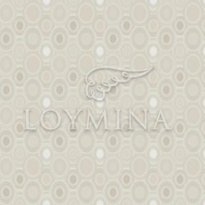 Loymina арт. Jet5 002