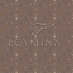 Loymina арт. Jet5 004