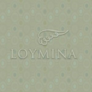 Loymina арт. Jet5 005