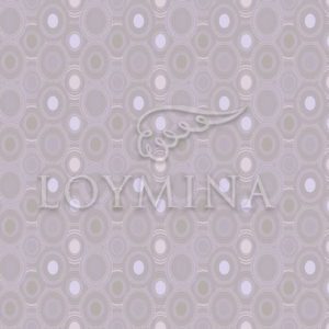 Loymina арт. Jet5 008