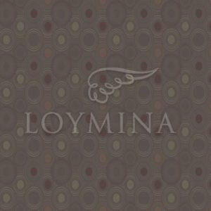 Loymina арт. Jet5 009