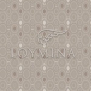 Loymina арт. Jet5 012