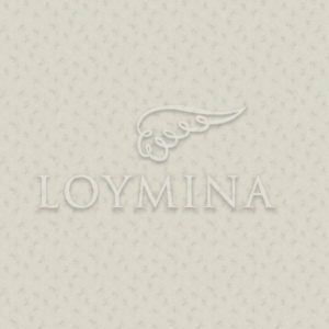 Loymina арт. Jet6 002