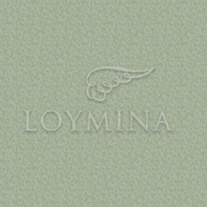 Loymina арт. Jet6 005