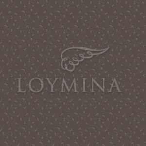 Loymina арт. Jet6 009/1