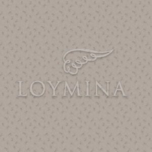 Loymina арт. Jet6 012