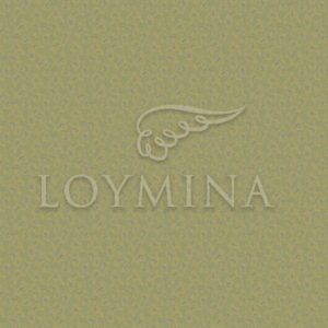 Loymina арт. Jet6 018