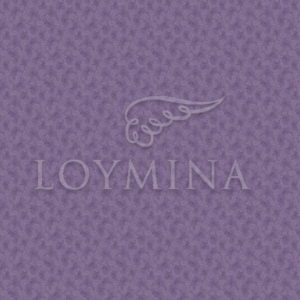 Loymina арт. Jet6 022