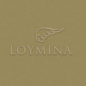 Loymina арт. Jet7 004/1