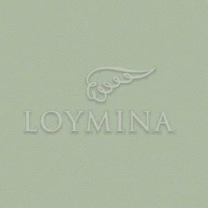 Loymina арт. Jet7 005