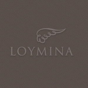 Loymina арт. Jet7 009