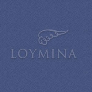 Loymina арт. Jet7 018