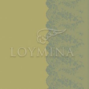 Loymina арт. Jet8 005