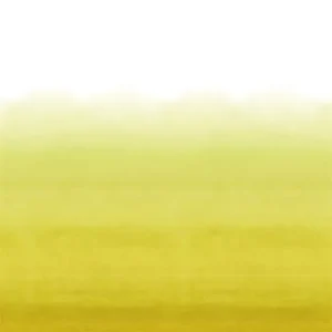 Обои флизелиновые Designers Guild PDG1163/07 коллекции Scenes & Murals III